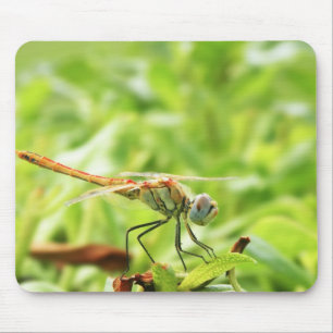 Mousepad Libélula