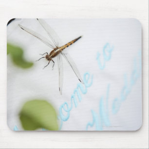 Mousepad Libélula 4