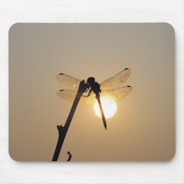 Mousepad Libélula de descanso no por do sol (Frente)
