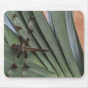 Mousepad Libélula na planta
