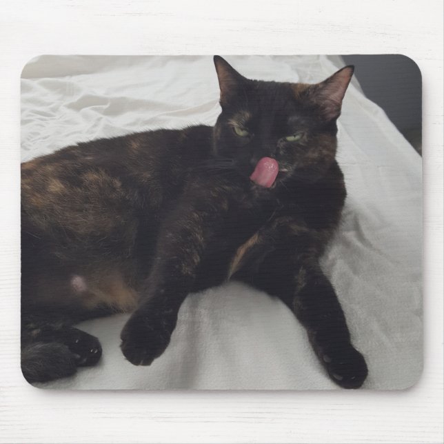 Mousepad Licença de Gato Tortoisinfernal, Fora de Língua, M (Frente)