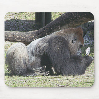 Mousepad Lições livres do póquer