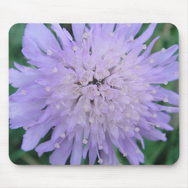 Mousepad lila Scabiosa (Frente)