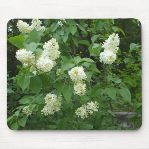 Mousepad Lilac Bush branco