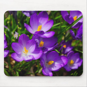 Mousepad Lilac Crocuses