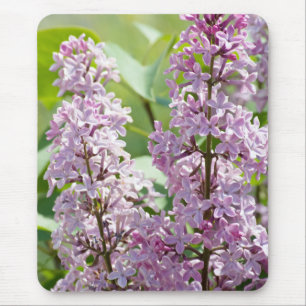 Mousepad Lilac P5390