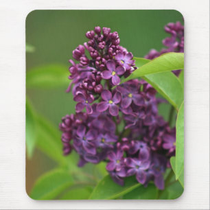Mousepad Lilac Roxo