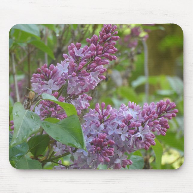 Mousepad Lilacs (Frente)