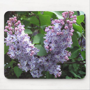 Mousepad Lilacs