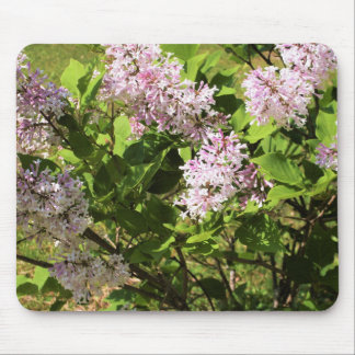 Mousepad Lilacs