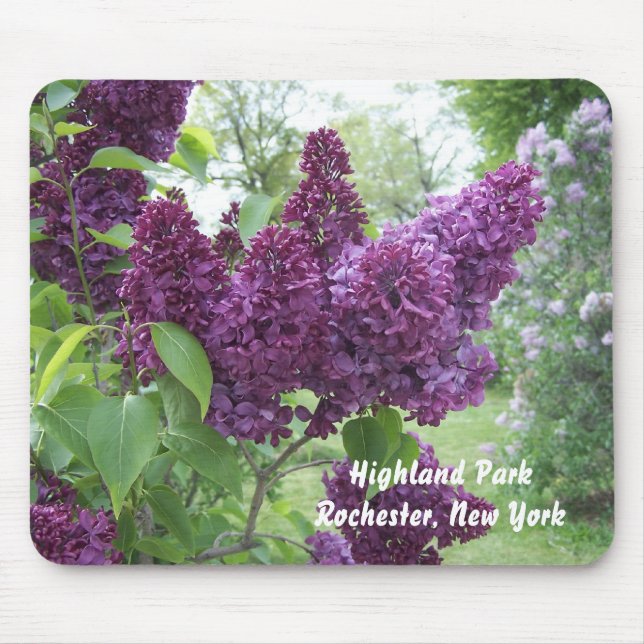 Mousepad Lilacs em Highland Park (Frente)