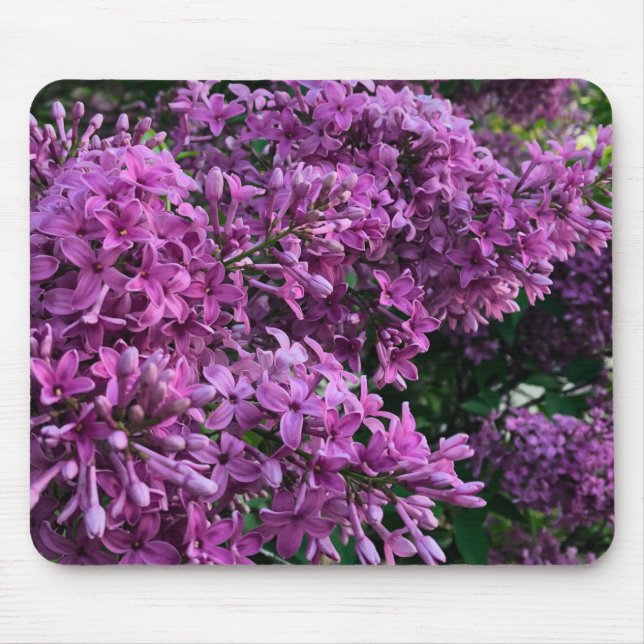 Mousepad Lilases roxos cor-de-rosa | fotografia floral rosa (Frente)