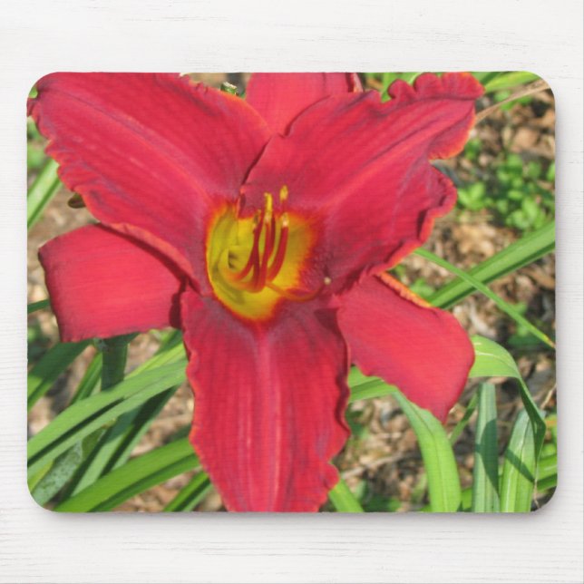 Mousepad lilly (Frente)