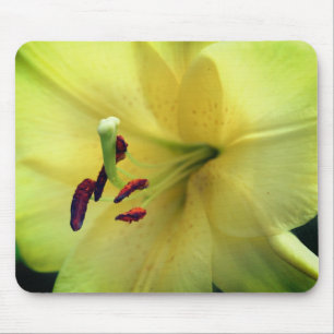 Mousepad Lily Amarela Pálida Para Cima Fechar