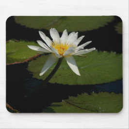Mousepad Lily De Lilly De Lilly Branca Passa O Mouse