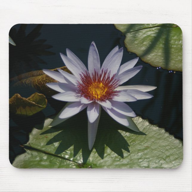 Mousepad Lily De Lilly De Lilly Branca Passa O Mouse (Frente)