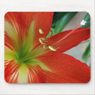 Mousepad lily laranja