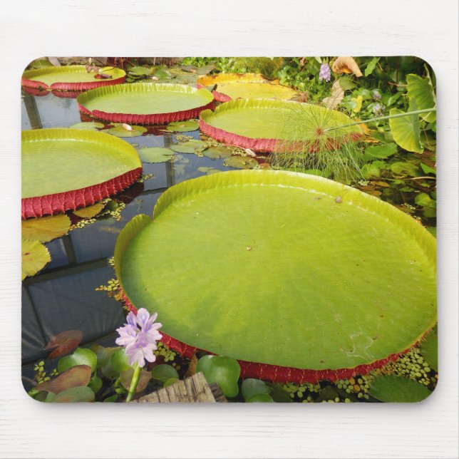 Mousepad Lily Pads Mat De Mouse (Frente)