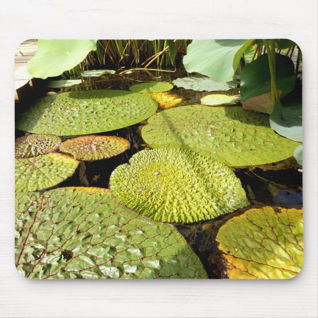 Mousepad Lily Pads Mat De Mouse (Frente)