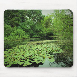Mousepad Lily Pads no Pond
