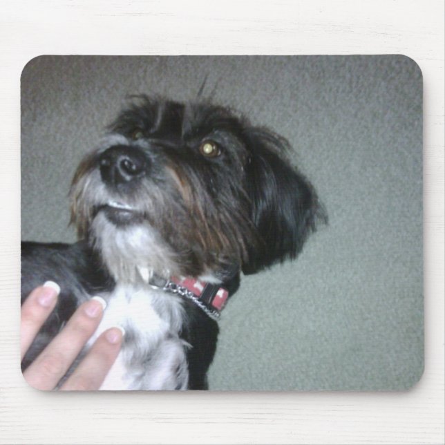 Mousepad Lilypad (Frente)