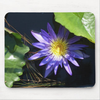 Mousepad lilypad