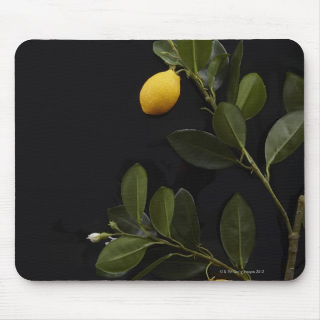 Mousepad Limões ainda no seu Ramo (Frente)