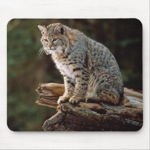 Mousepad Lince