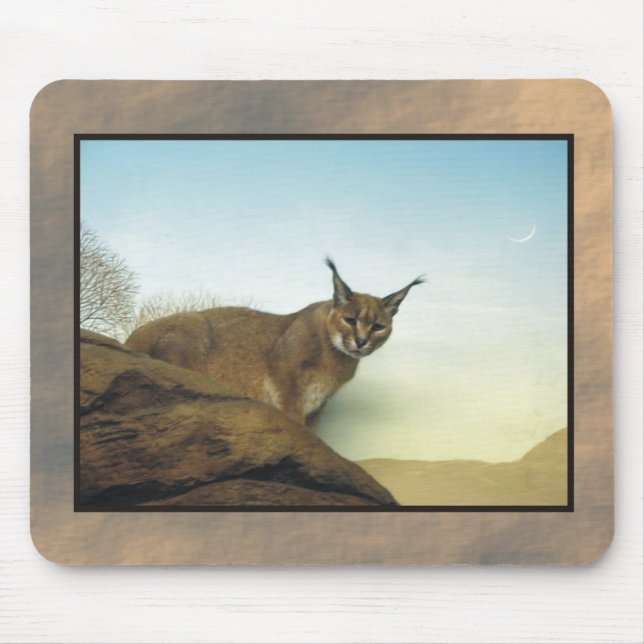 Mousepad lince 2 do jardim zoológico (Frente)