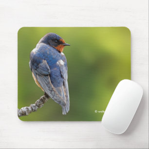 Mousepad Linda ave andorinha em galho