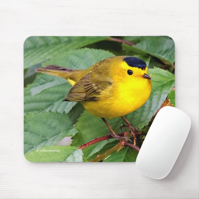 Mousepad Linda ave-canora Wilson em árvore cerejeira (Com mouse)