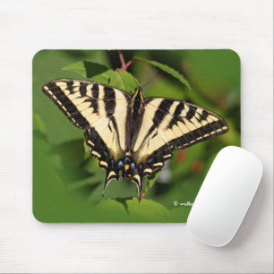 Mousepad Linda borboleta-do-mar-do-oeste