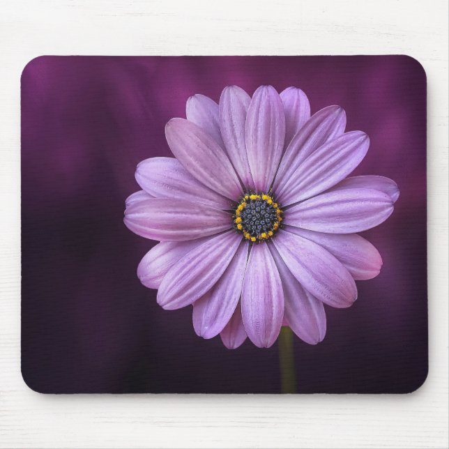 Mousepad Linda, brilhante, elegante, margarida roxa rosa (Frente)
