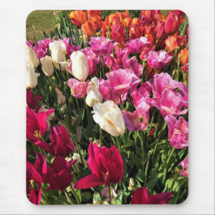 Mousepad Linda Cama do Jardim das Tulipas, Oregon
