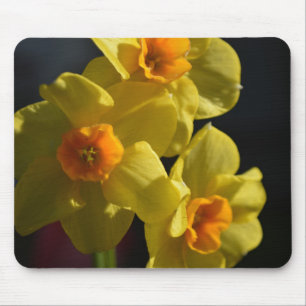 Mousepad Linda cor brilhante flor de narciso amarelo