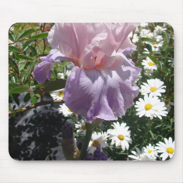 Mousepad Linda Foto floral da Flor Roxo Iris (Frente)