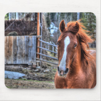 Mousepad Linda Foto Red Dun Ranch Horse Equine