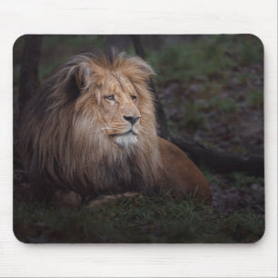Mousepad Linda Katanga Lion