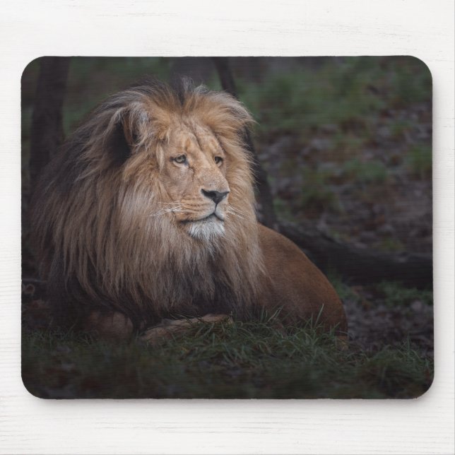 Mousepad Linda Katanga Lion (Frente)