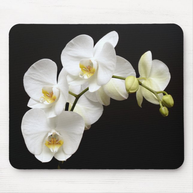 Mousepad Linda Orquídea Branca com Fundo Negro (Frente)