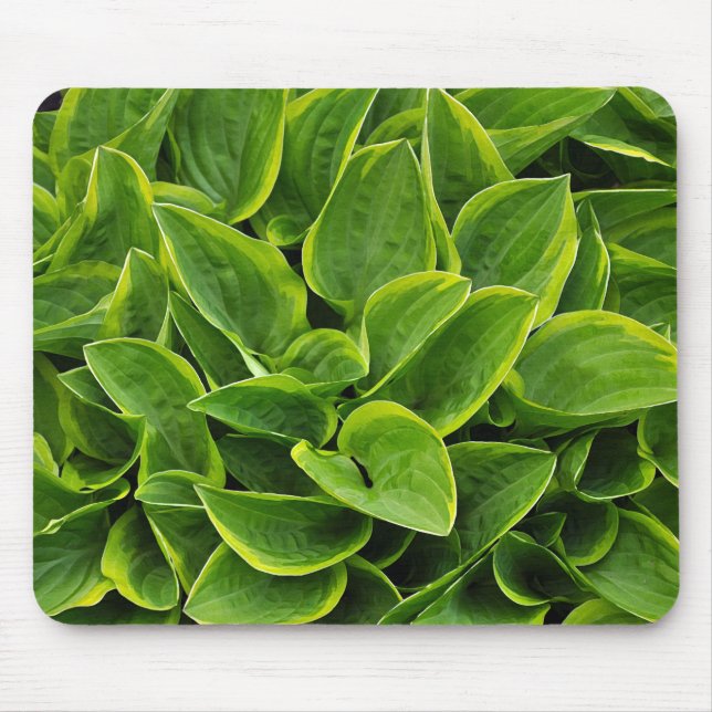 Mousepad Linda planta verde-hosta (Frente)