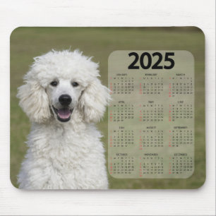 Mousepad Linda Poodle Branca 2025 Calendário Cachorro