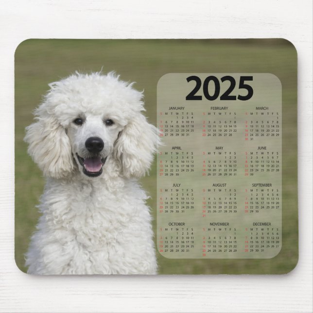 Mousepad Linda Poodle Branca 2025 Calendário Cachorro (Frente)
