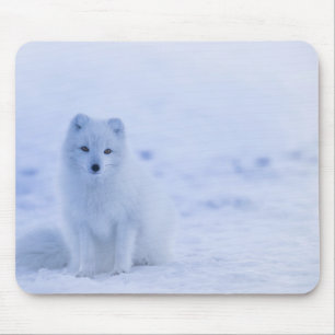 Mousepad Linda Raposa Ártica