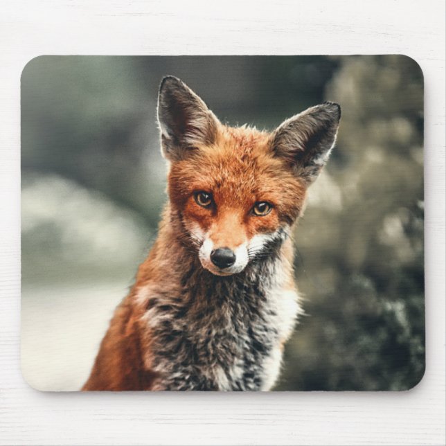 Mousepad Linda Raposa na Natureza (Frente)