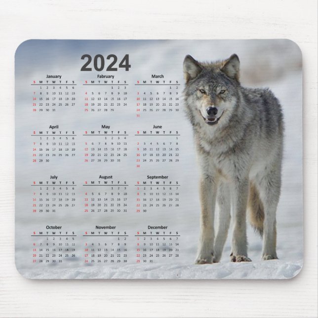 Mousepad Linda Timber Wolf 2024 Calendário (Frente)