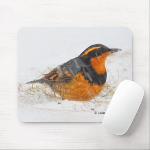 Mousepad Linda variedade de sabiá-lo na neve
