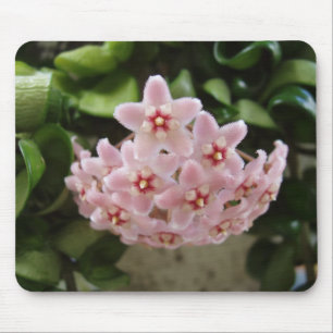 Mousepad Linda Violeta Africana