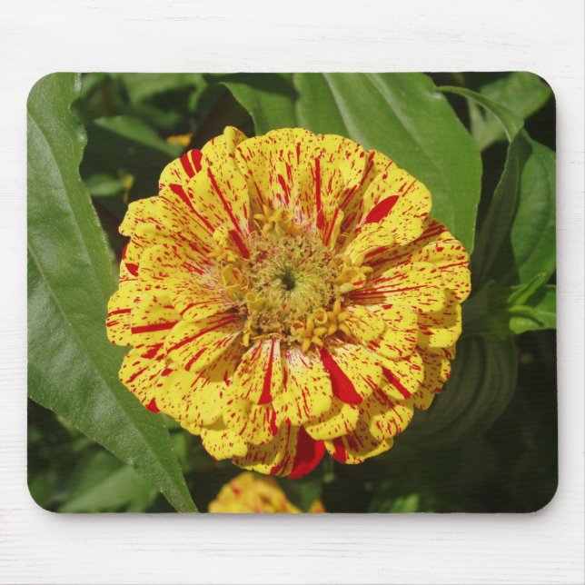 Mousepad Linda Zinnia (Frente)