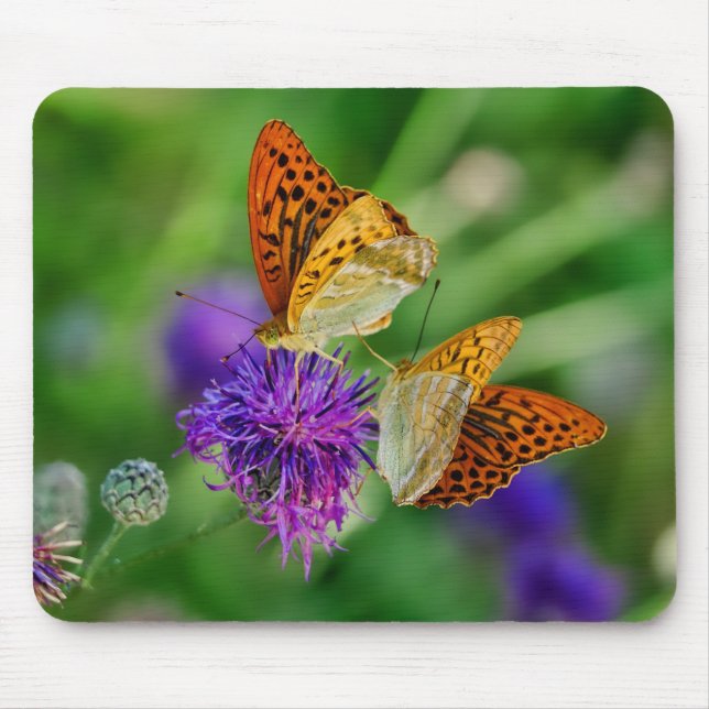 Mousepad Lindas Borboletas (Frente)